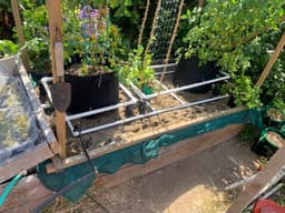 Finding the Sweet Spot: When Dry Enough Is Just Right