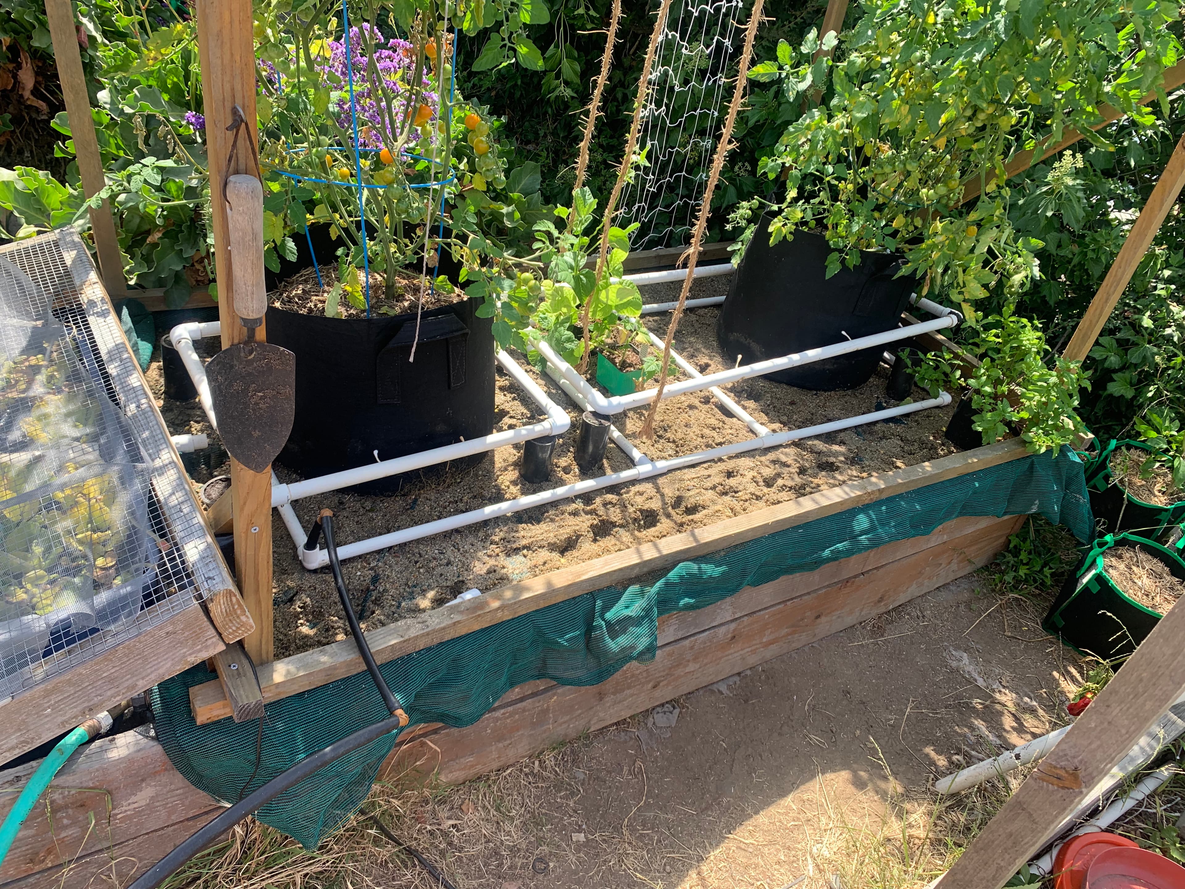 Finding the Sweet Spot: When Dry Enough Is Just Right