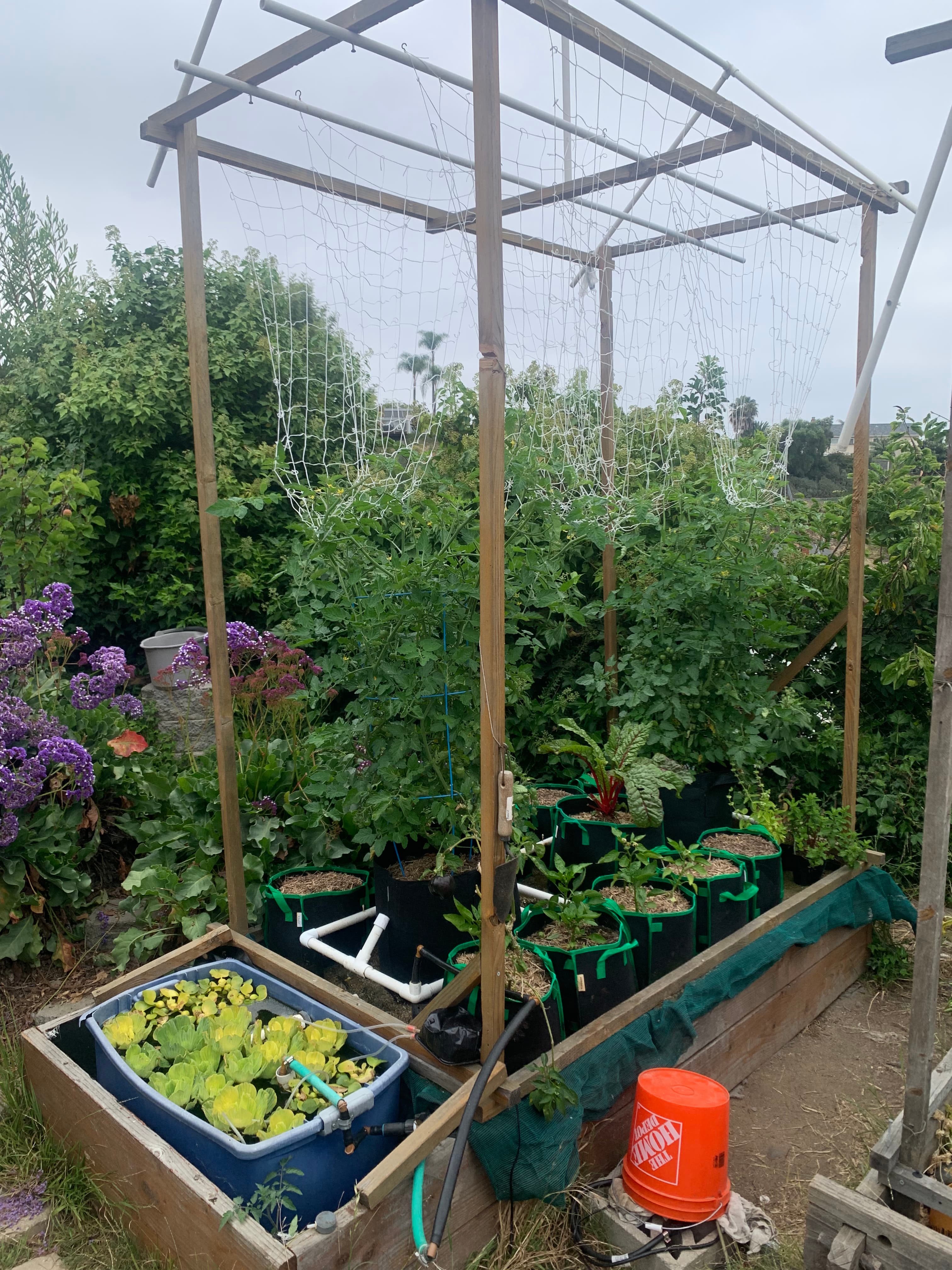 Watering Woes and Growing Plans Ahead