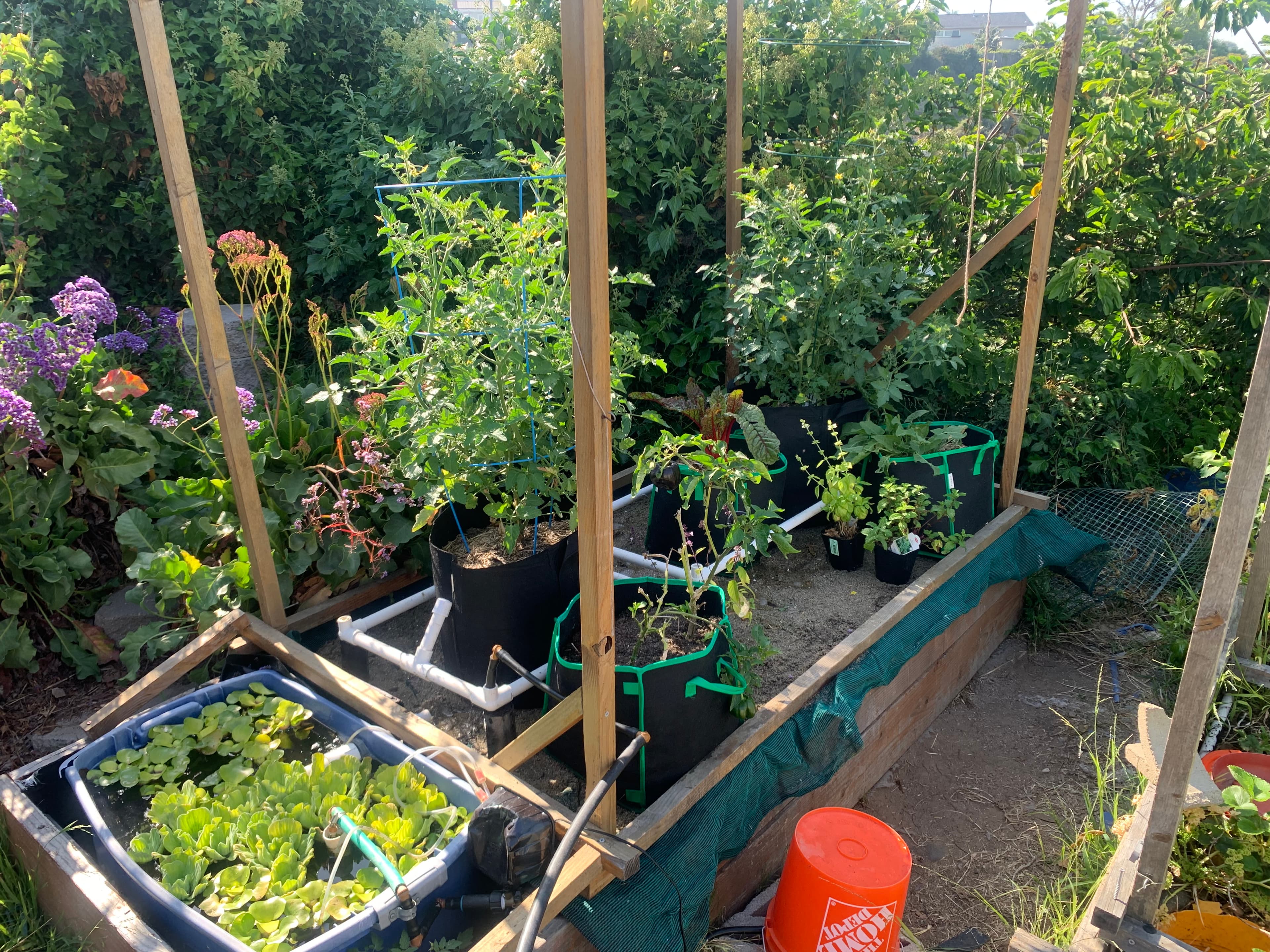 The System Is Alive — and the Garden Knows It